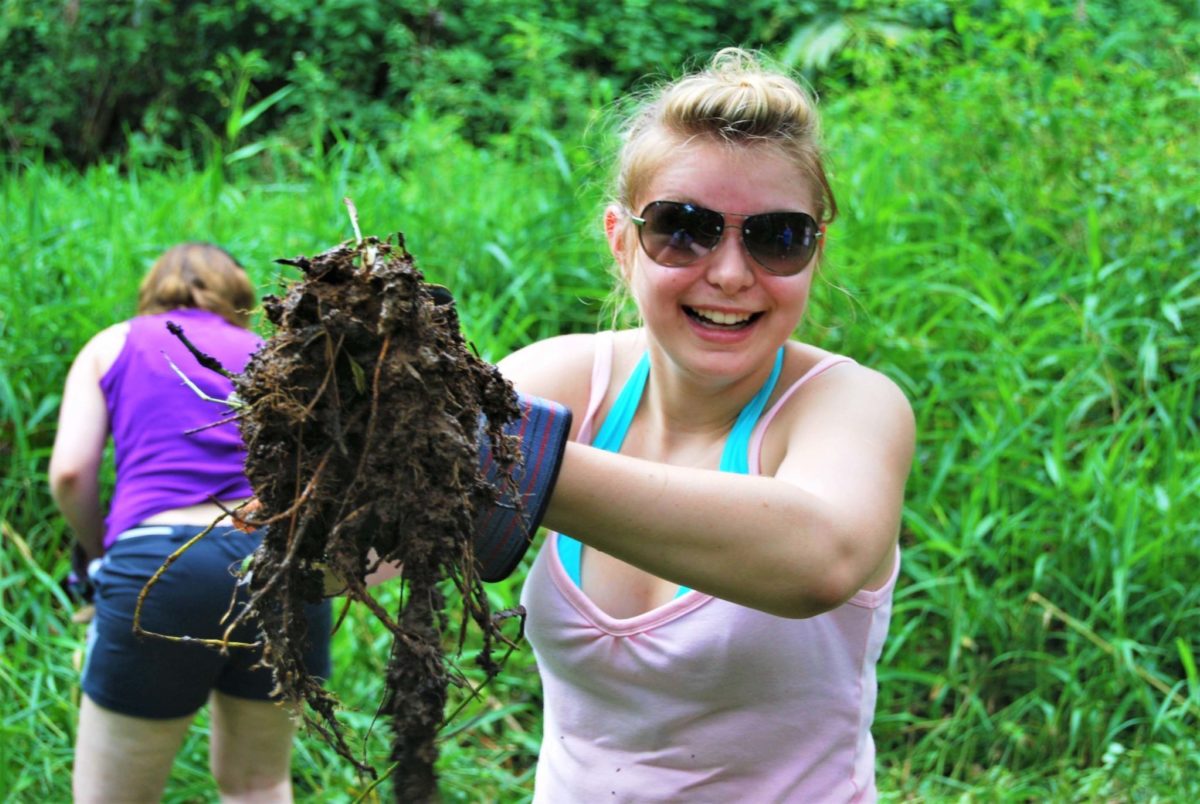 Asis Animal sanctuary project work Costa Rica