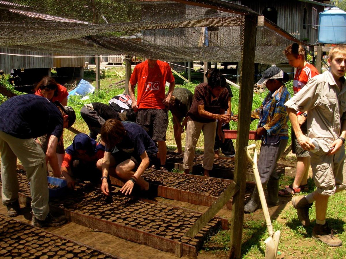 Mescot gardening