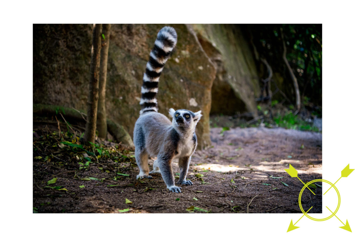 Madagascar visa